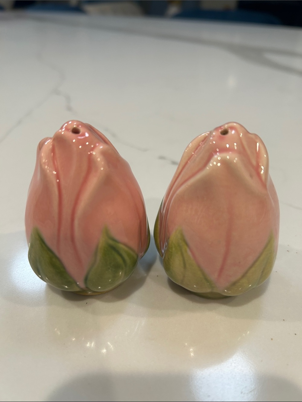Franciscan Desert Rose Ceramic Salt & Pepper Shaker Set
